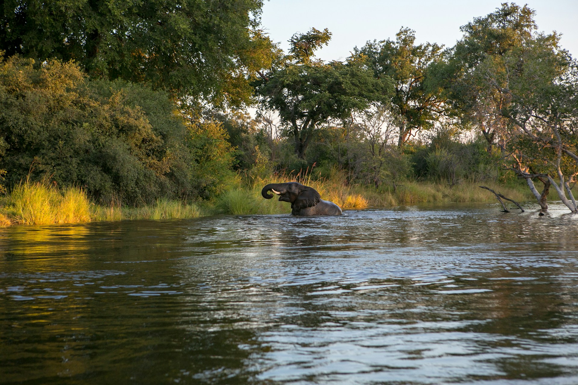 Lower Zambezi